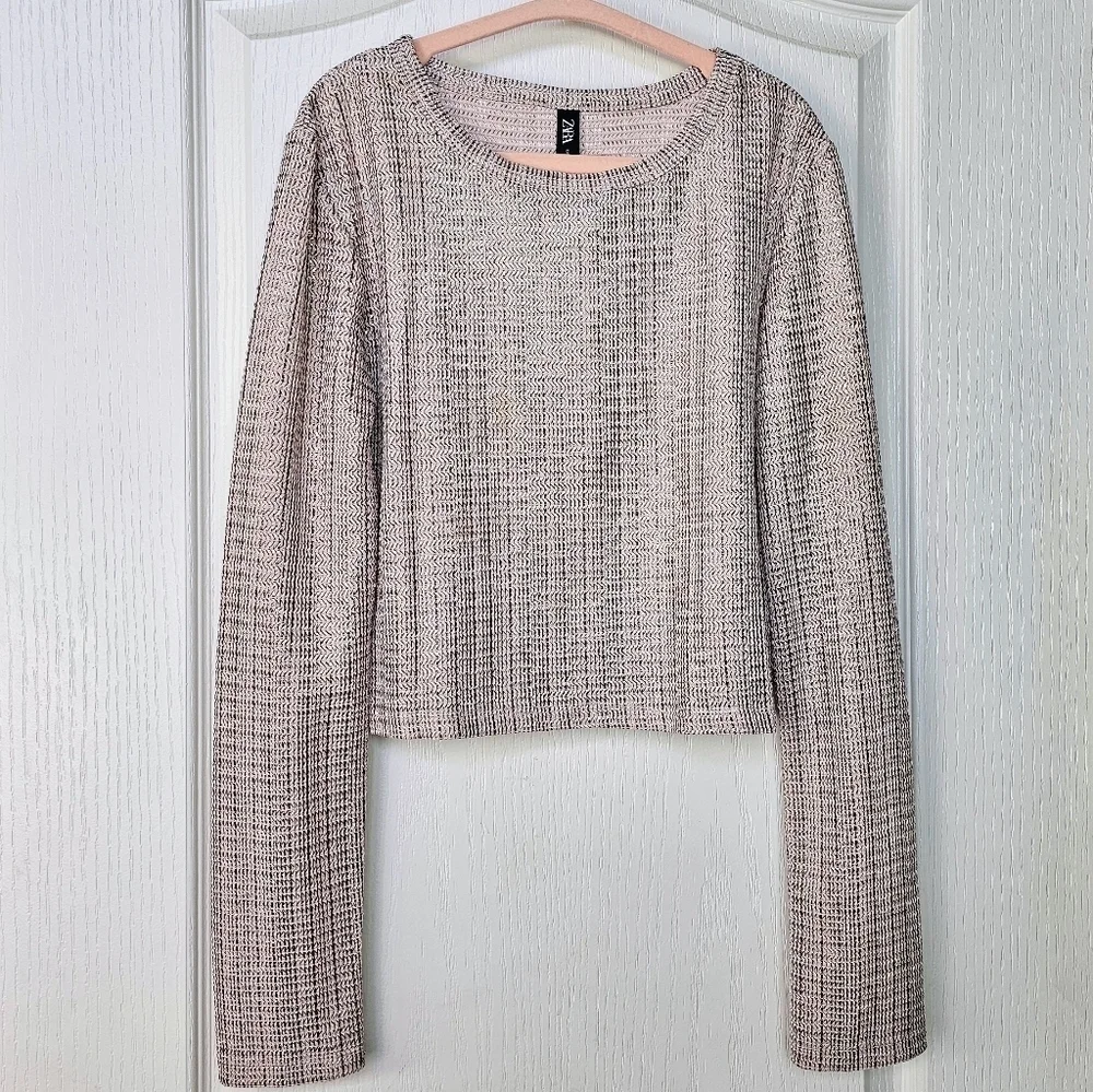 Zara Women's Metallic Shimmery Sheer Long Sleeve Crop Top, Beige Silver Gold, S